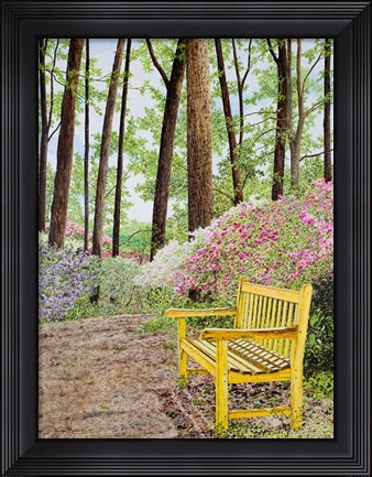 Framed Nature Walks Print