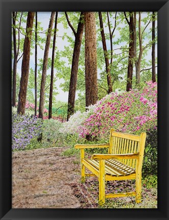 Framed Nature Walks Print