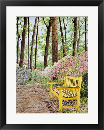 Framed Nature Walks Print