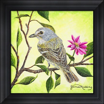Framed Tropical Bird Print