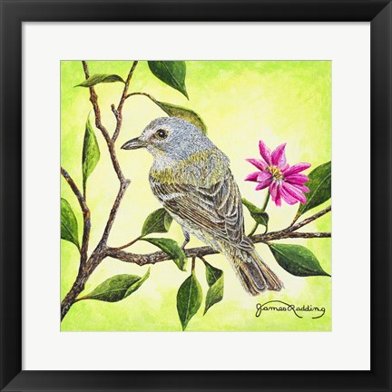 Framed Tropical Bird Print