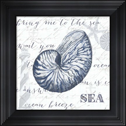 Framed Indigo Shell II Print