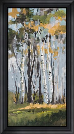 Framed Golden Birch Trees Print