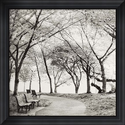 Framed Virginia Park Walk Print