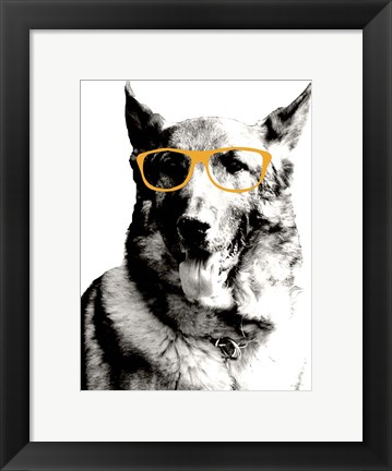 Framed Cool Dog Print