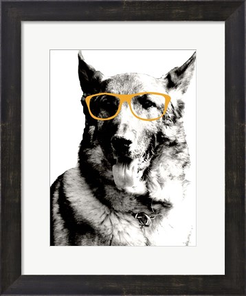 Framed Cool Dog Print