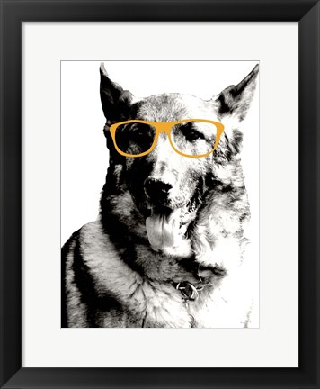 Framed Cool Dog Print