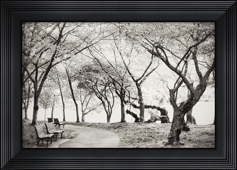 Framed Path Walk Print