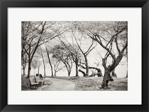 Framed Path Walk Print