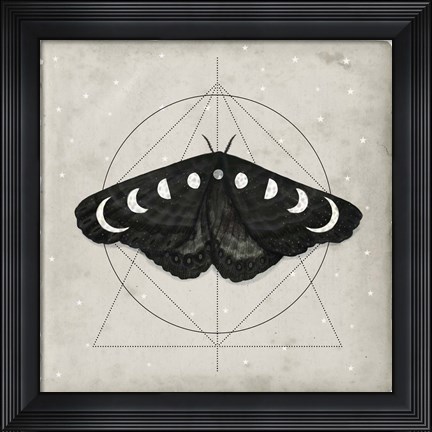 Framed Midnight Moth I Print