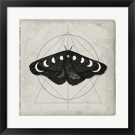 Framed Midnight Moth I Print