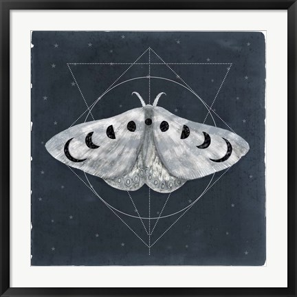 Framed Midnight Moth II Print