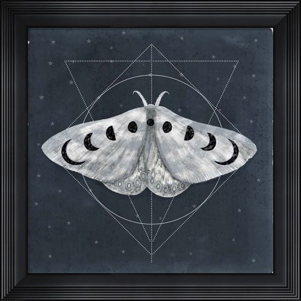 Framed Midnight Moth II Print