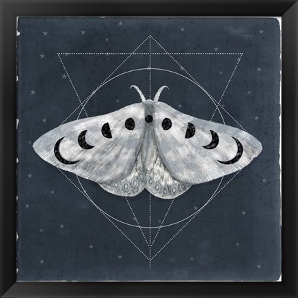 Framed Midnight Moth II Print