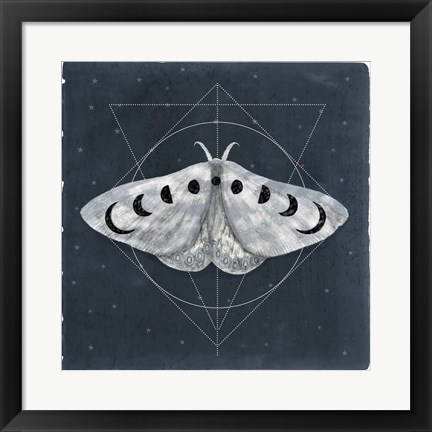 Framed Midnight Moth II Print