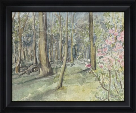 Framed Virginia Woods I Print