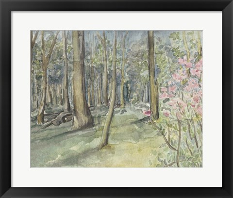 Framed Virginia Woods I Print