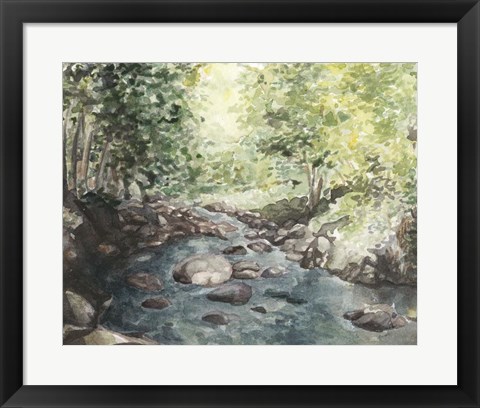 Framed Virginia Woods IV Print