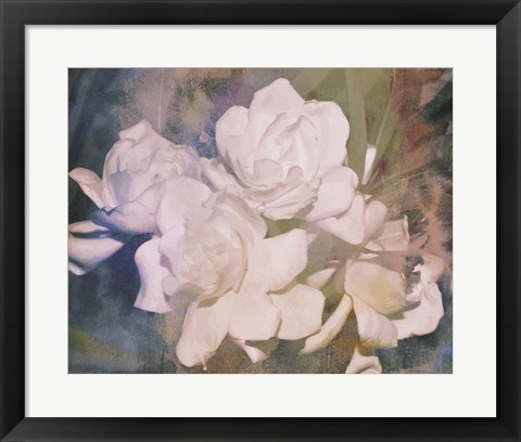 Framed Blush Gardenia Beauty I Print