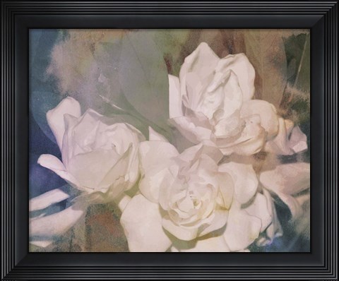 Framed Blush Gardenia Beauty II Print