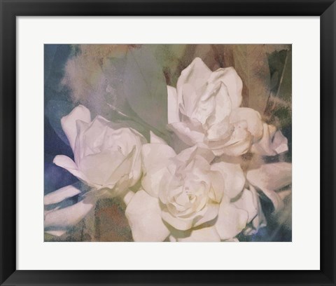 Framed Blush Gardenia Beauty II Print