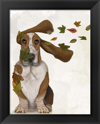 Framed Basset Hound Windswept and Interesting Print