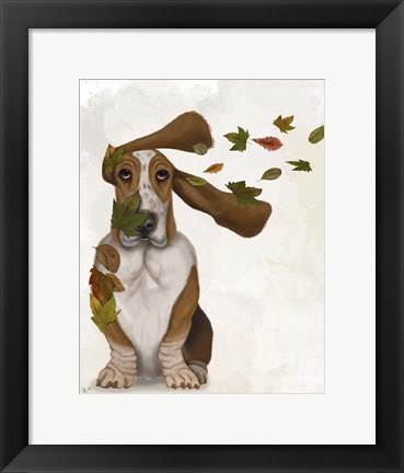 Framed Basset Hound Windswept and Interesting Print