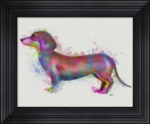 Framed Dachshund Rainbow Splash 1 Print