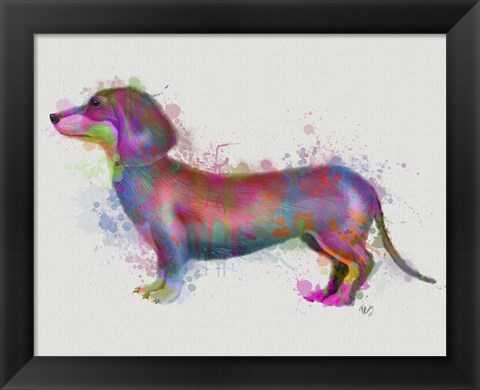 Framed Dachshund Rainbow Splash 1 Print