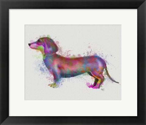 Framed Dachshund Rainbow Splash 1 Print