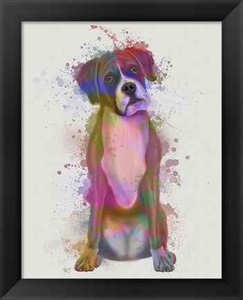 Framed Boxer 1 Full Rainbow Splash Print