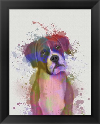 Framed Boxer 1 Portrait Rainbow Splash Print