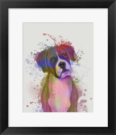 Framed Boxer 1 Portrait Rainbow Splash Print