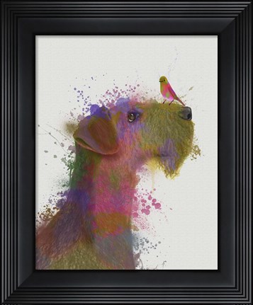 Framed Airdale and Canary Rainbow Splash Print