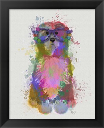 Framed Tibetan Terrier Rainbow Splash Print