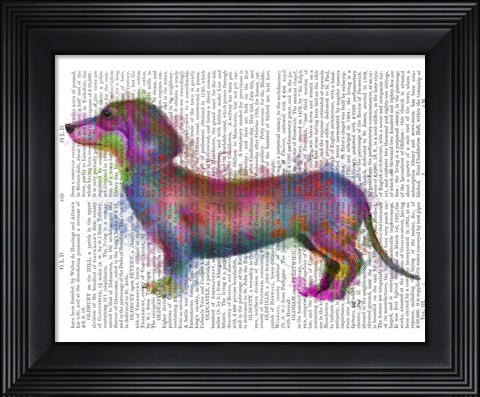 Framed Dachshund Rainbow Splash 1 Print