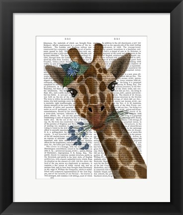 Framed Chewing Giraffe 1 Print