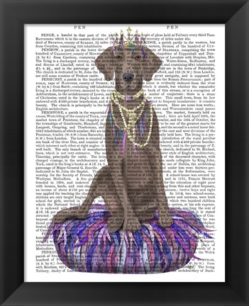 Framed Weimaraner on Purple Cushion Print