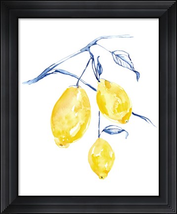 Framed Watercolor Lemons I Print
