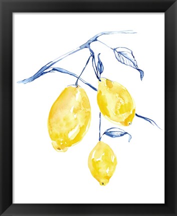 Framed Watercolor Lemons I Print