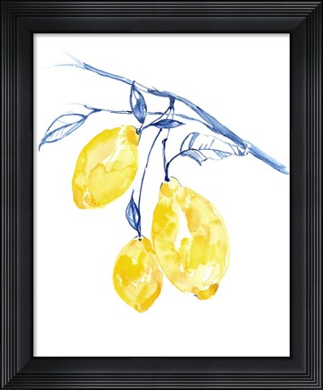 Framed Watercolor Lemons II Print