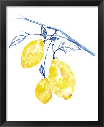 Framed Watercolor Lemons II Print