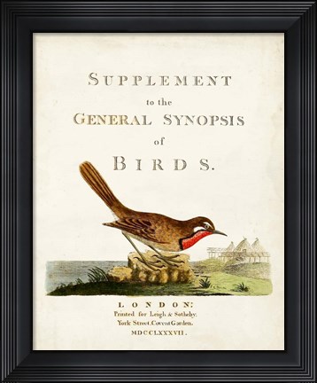 Framed General Synopsis of Birds Print