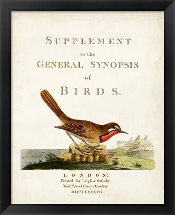 Framed General Synopsis of Birds Print