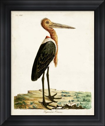 Framed Gigantic Crane Print