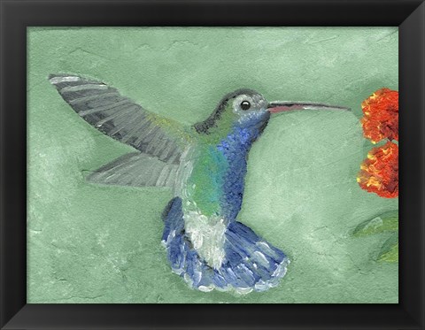 Framed Fresco Hummingbird I Print