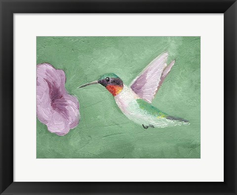 Framed Fresco Hummingbird II Print