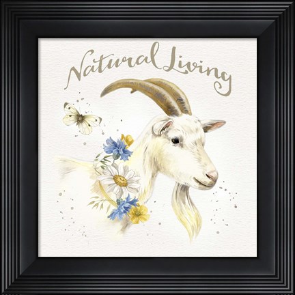 Framed Nostalgic Farm IV Print