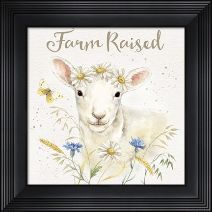 Framed Nostalgic Farm V Print