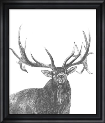 Framed Wildlife Snapshot: Elk Print